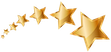 gold stars separator